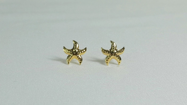 BRINCO ESTRELA DO MAR - Imagem 4
